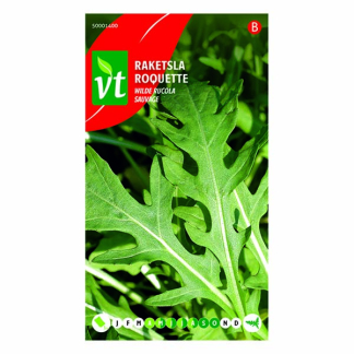 VT Slazaad  | VT | 5 stuks (Rucola)  V170116662 - 2