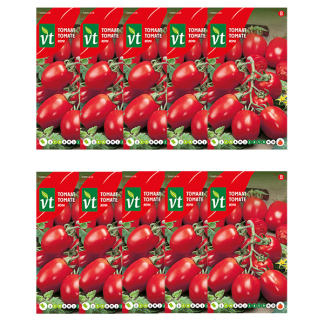 Tomatenzaad | VT | 10 stuks (Romatomaat)