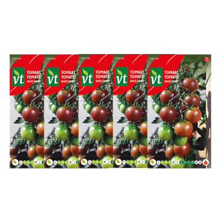 Tomatenzaad | VT | 5 stuks (Black cherry)