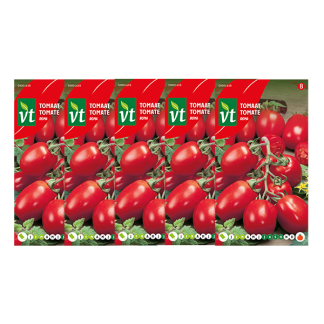 Tomatenzaad | VT | 5 stuks (Romatomaat)