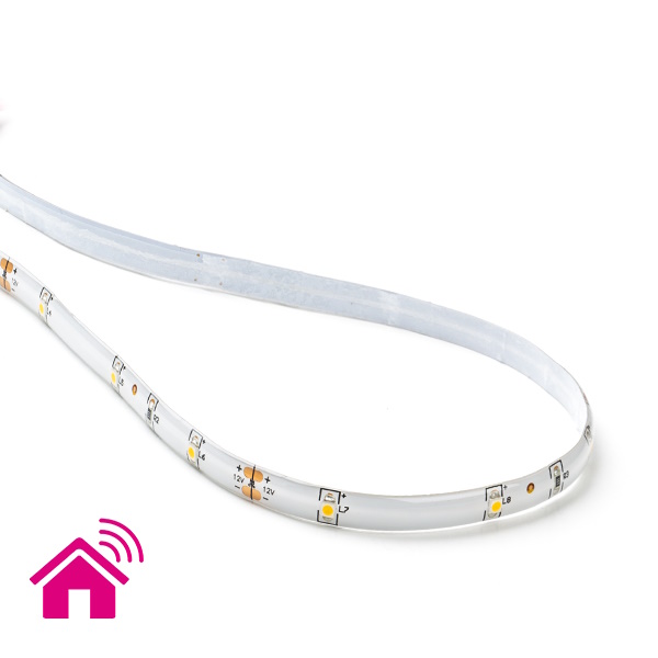 Heel galblaas Centraliseren ⋙ LED strip kopen? | Verlichting voor iedere ruimte | Kabelshop.nl