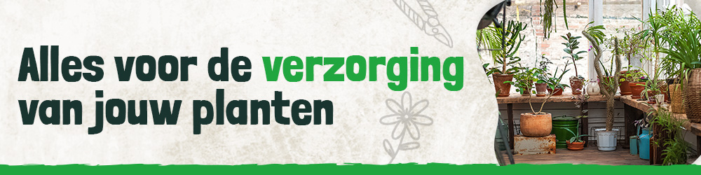 Alles voor de verzorging van jouw planten