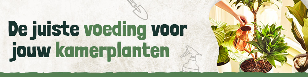 Voeding voor borderplanten