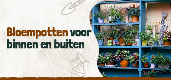 Bloempotten voor binnen en buiten