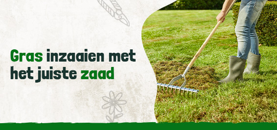 Gras inzaaien met het juiste zaad