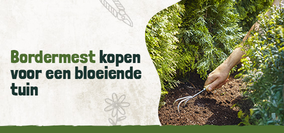 Bordermest kopen voor een bloeiende tuin