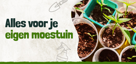 Alles voor moestuin verzorgen