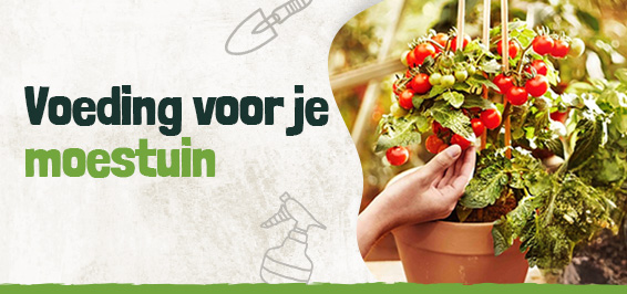 Voeding voor je moestuin