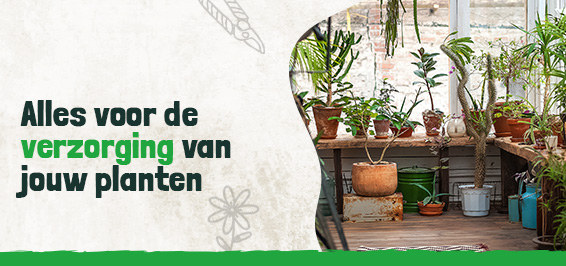 Alles voor de verzorging van jouw planten