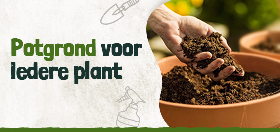 Potgrond voor iedere plant