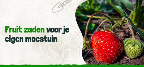 Fruit zaden voor je eigen moestuin