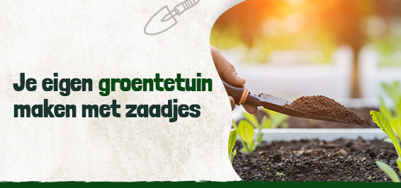 Je eigen groentetuin maken met zaadjes