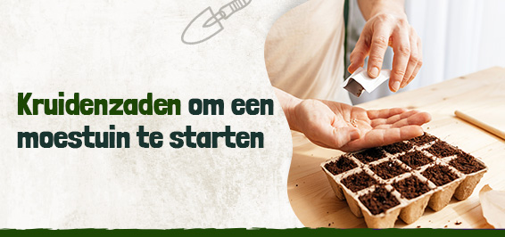 Kruidenzaden om een moestuin te starten