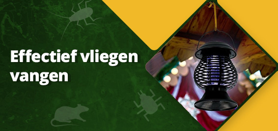 Effectief vliegen vangen
