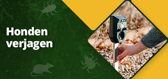 Hoe kun je honden verjagen?