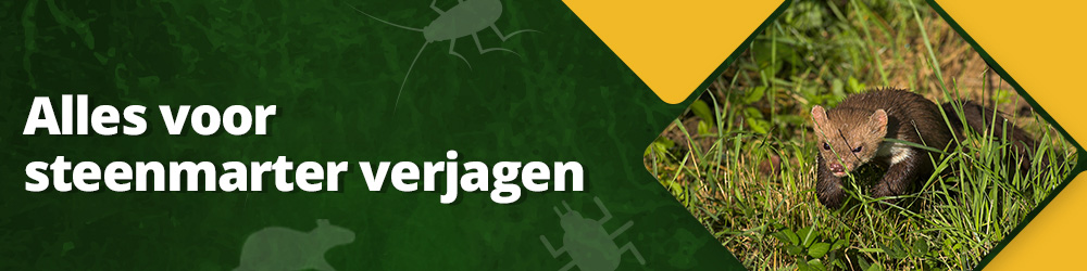 Alles voor steenmarter verjagen kopen?