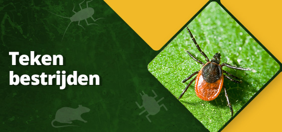 Hoe kun je teken bestrijden?