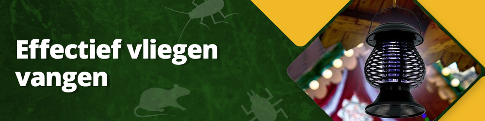 Effectief vliegen vangen