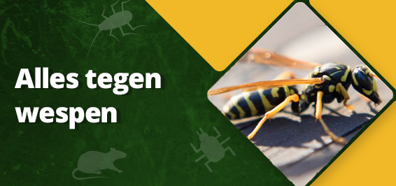 Alles tegen wespen